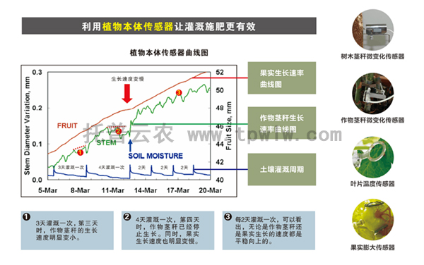 配置植物本体传感器